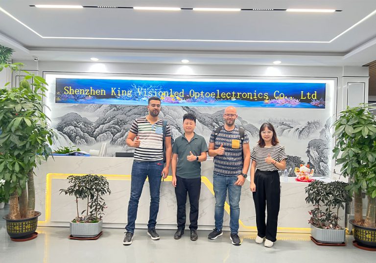 shenzhen kingvisionledstaff0