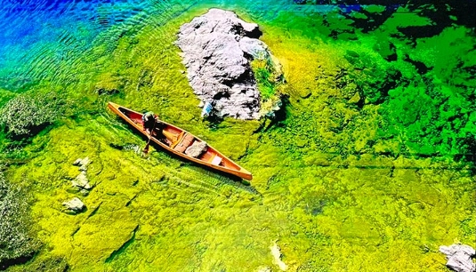 COB creates a more stable setting for showing colors