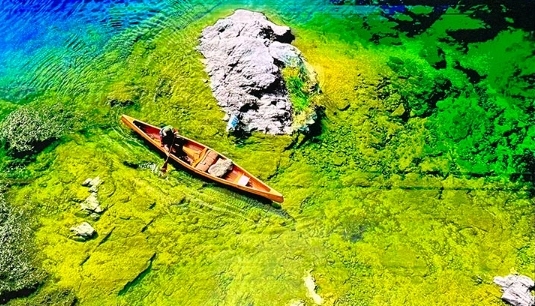 COB 4K models target critical all-day environments